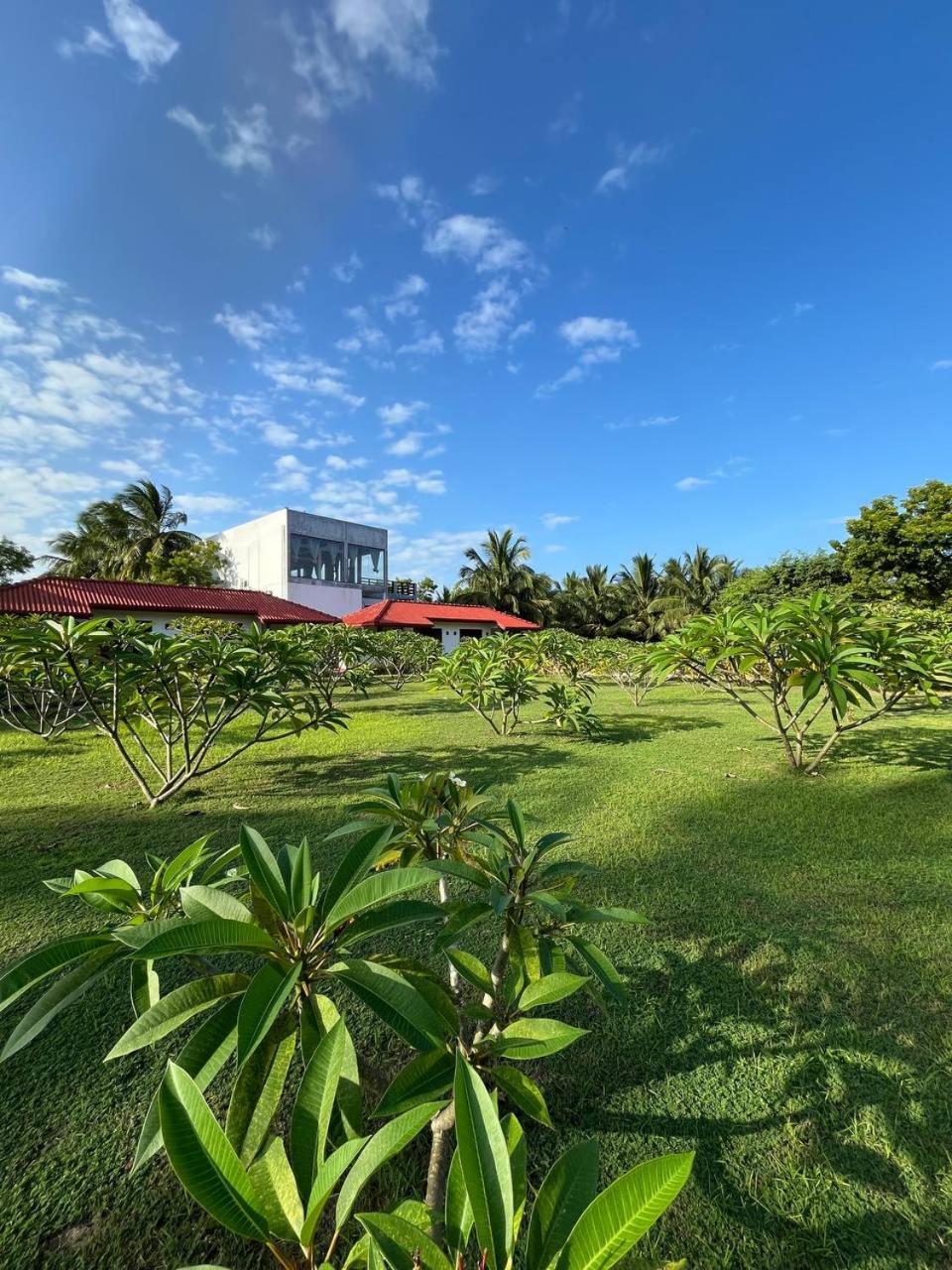 Nn Beach Resort & Spa Nilaveli Buitenkant foto